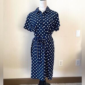 Ann Taylor Navy Polka Dot Dress